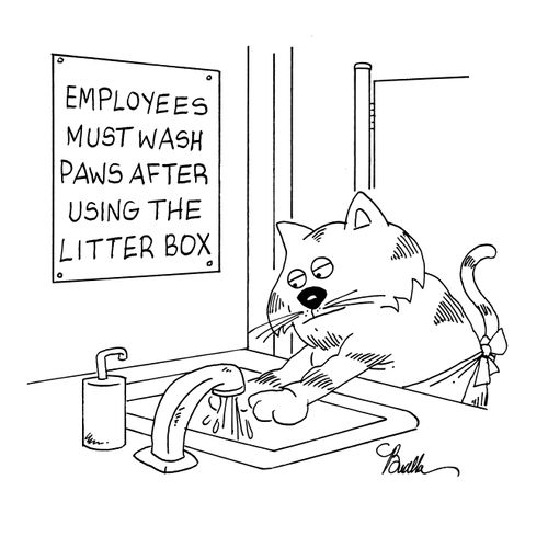 Employees must wash paws after using litter box.