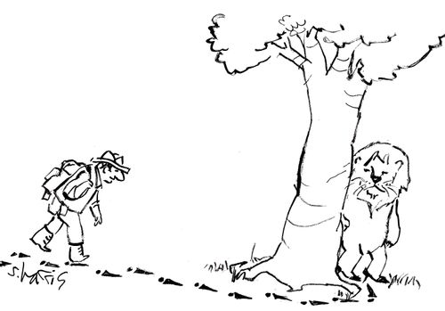 Lion leaves high heel footprints to ambush explorer.