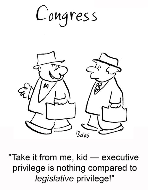 CONGRESS, 'Take if from me, kid -- executive privilege is nothing compared to legislative privilege!'