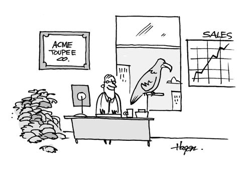Acme Toupee Co. - Pile of toupees in corner, hawk on perch by open window - chart showing sales up. - The hawk is stealing toupees off people's heads, driving sales up.