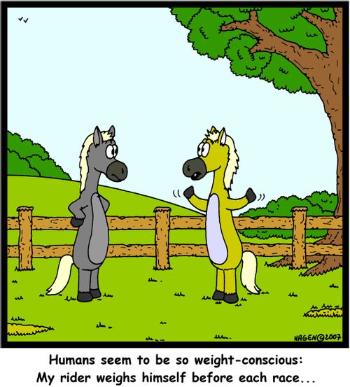 'Humans seem to be so weight-conscious: My rider weighs himself before each race...'