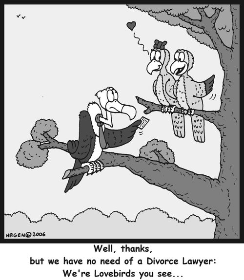 'Well, thanks, but we have no need of a Divorce Lawyer: We're Lovebirds you see...'