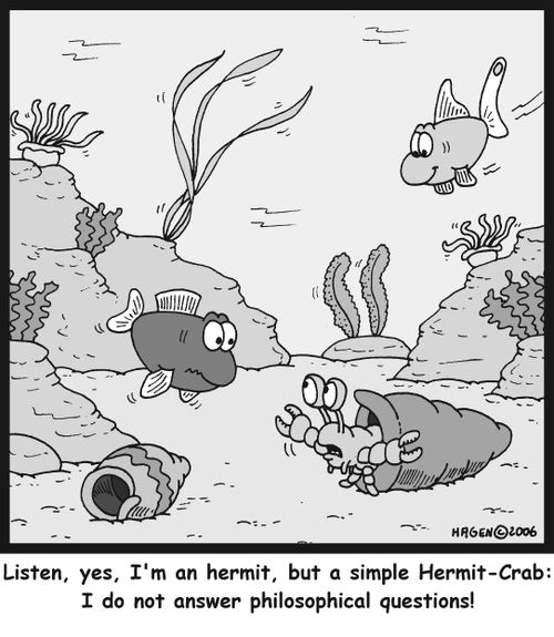'Listen, yes, I'm a hermit, but a simple Hermit-Crab: I do not answer philosophical questions!'