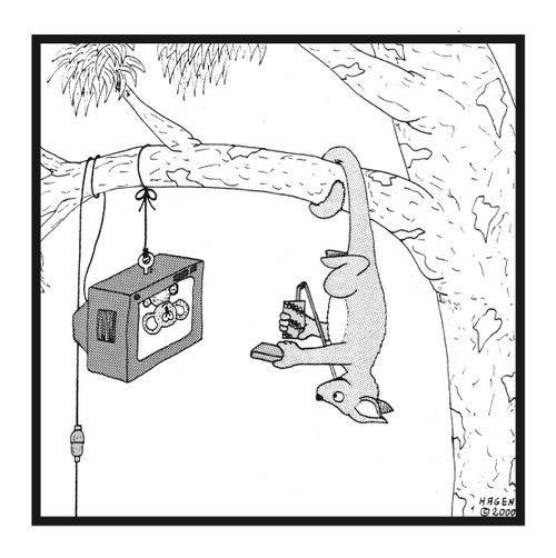 SlothPossum Watching Upside Down TV