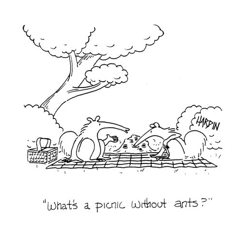 'What's a picnic without ants?'