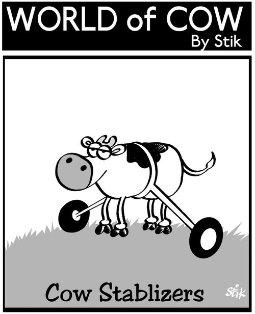 'Cow Stabilizers'.