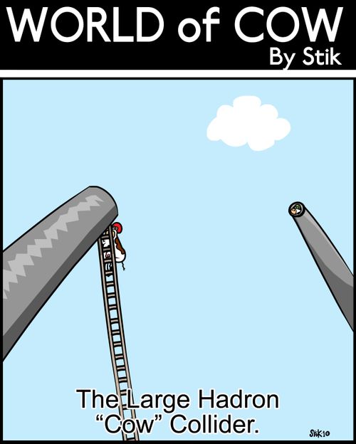 The Large Hadron Cow Collider.