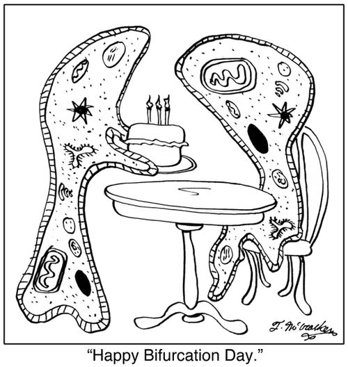 Happy Bifurcation Day,