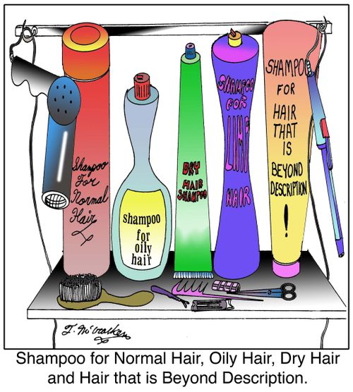 Shampoo for Normal Hair, Oily Hair, Dry Hair, Hair that is Beyond Description.