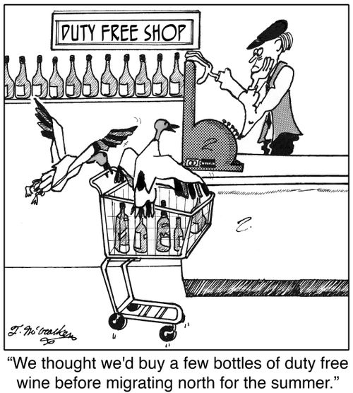  'We thought we'd buy a few bottles of duty free wine before migrating north for the summer.'