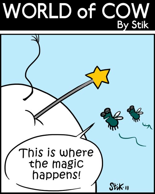 'This is where the magic happens!'