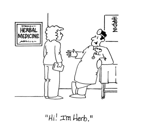 'Hi! I'm herb.'