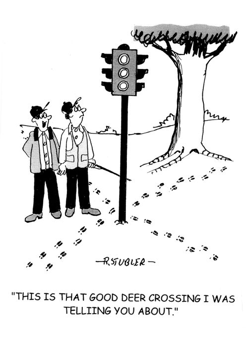 'This is that good deer crossing I was telling you about.'