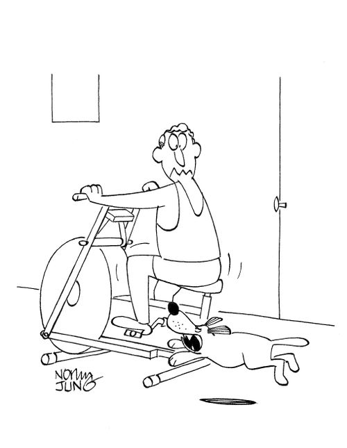 Man using exercise bike being chased by dog