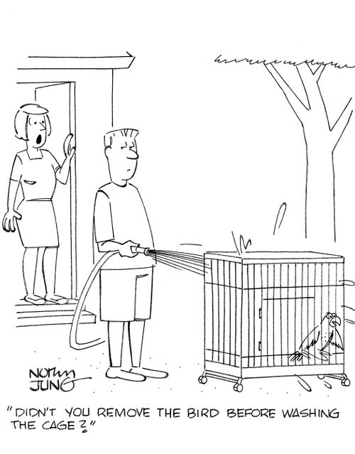 'Didn't you remove the bird before washing the cage?'