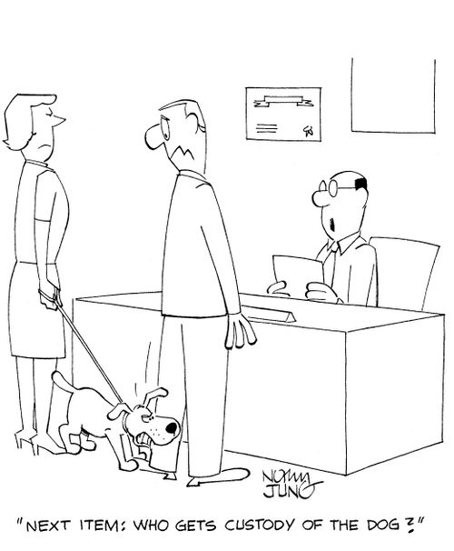 'Next item: who gets custody of the dog?'