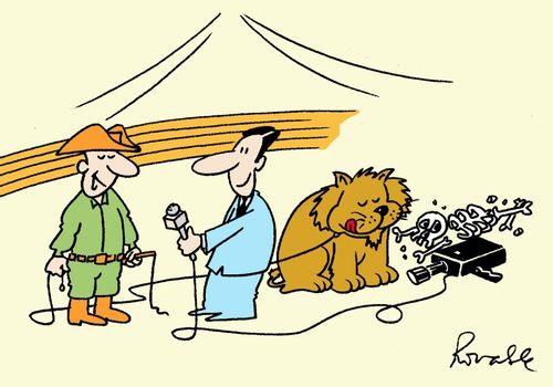 Lion trainer interviewed whilst lion eats camera operator.