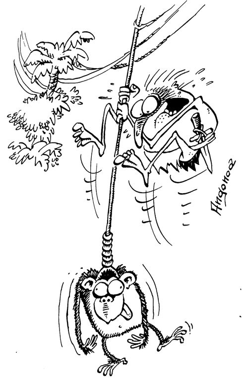 Jungle Man swinging from hang mans rope.