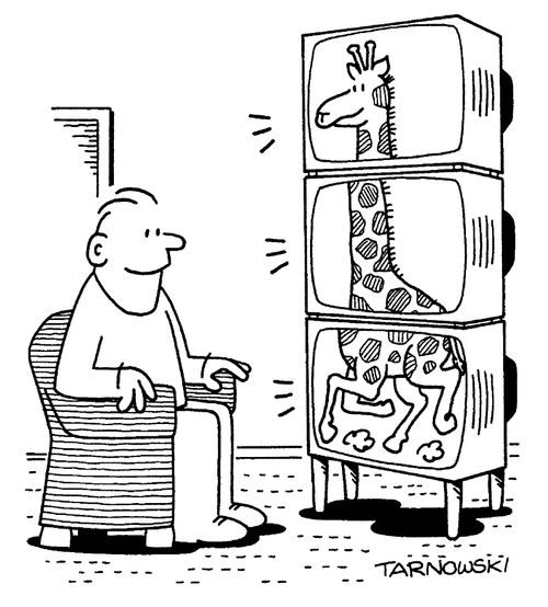 Giraffe on three TV screens.