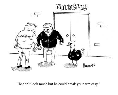 'He don't look much but he could break your arm easy.'