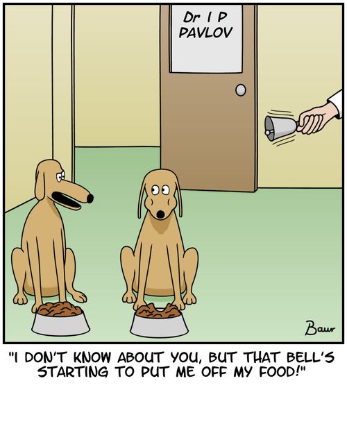 Pavlov's dogs - 'I don't know about you,but that bell's starting to put me off my food!'
