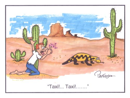 "Taxi!...Taxi!..."