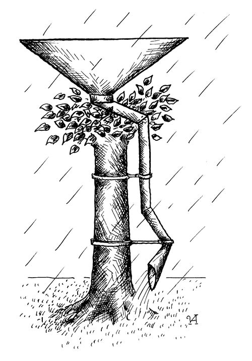 Tree with Drain Pipe