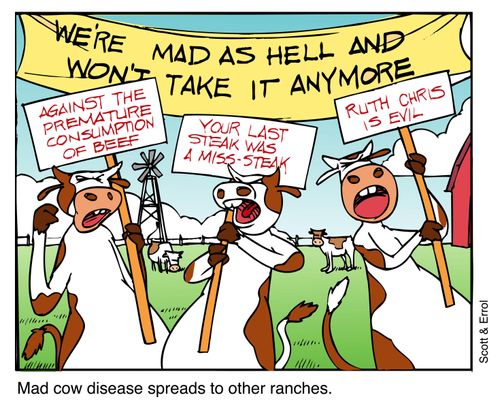Mad cow disease spreads to other ranches