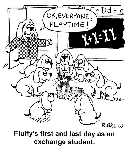 'Fluffy's first and last day as an exchange student' - "Okay everyone, playtime!"
