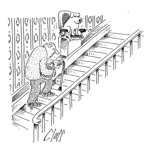 Dog on man's stair lift