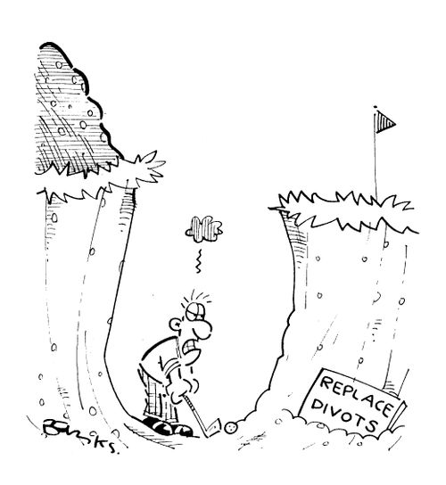 'Replace divots'