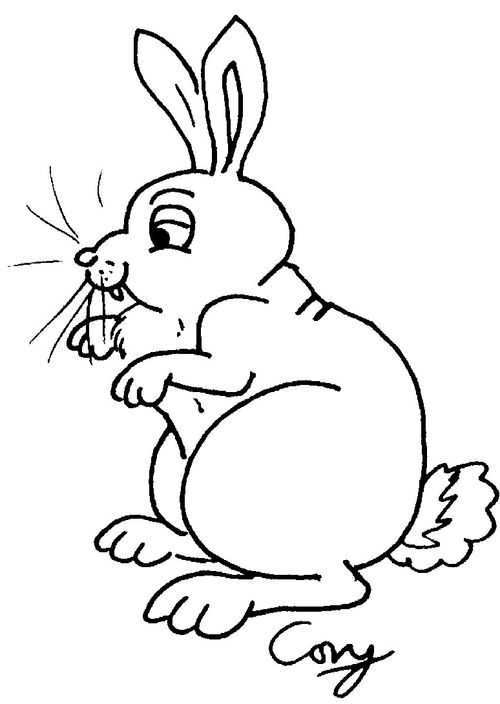 Rabbit