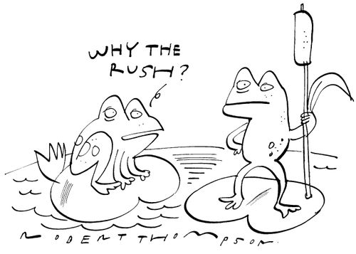 "Why the rush?"