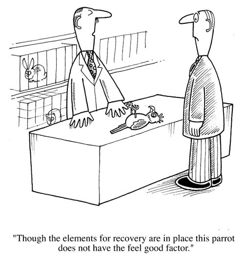 Dead Parrot, "Thought the elements for recovery are in place the Parrot does not have the feel good factor."
