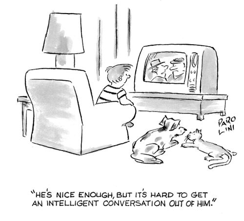 'He's nice enough, but it's hard to get an intelligent conversation out of him.'