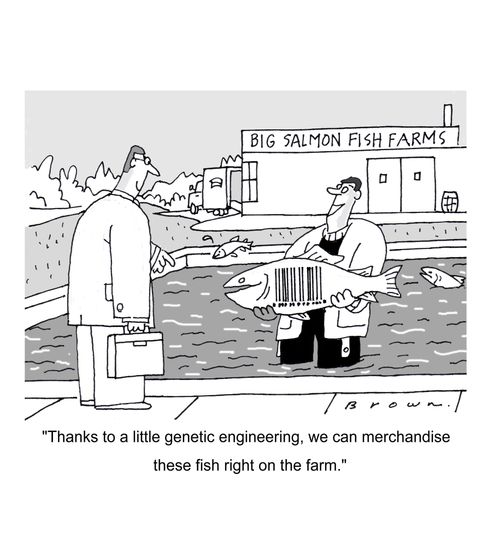 'Thanks to a little genetec engineering, we can merchandise these fish right on the farm.'