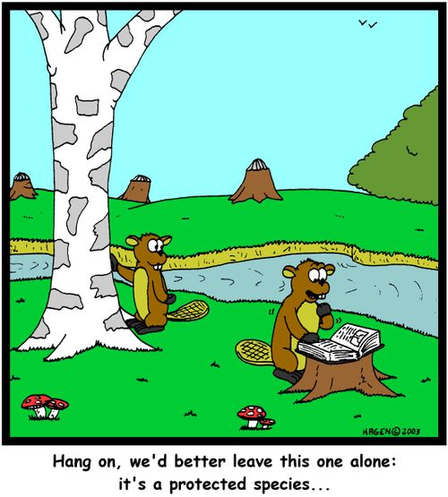'Hang on, we'd better leave this one alone: It's a protected species...'