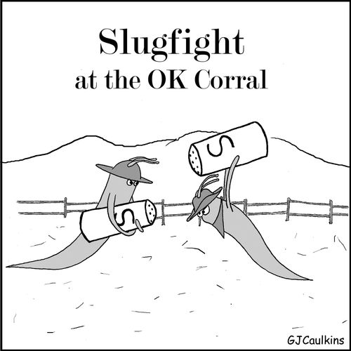 Slugfight at the OK Corral.