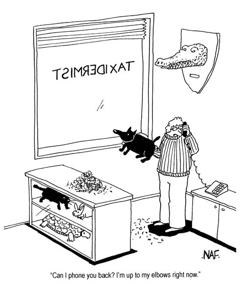 Taxidermist: 'Can I phone you back?  I'm up to my elbows right now.'