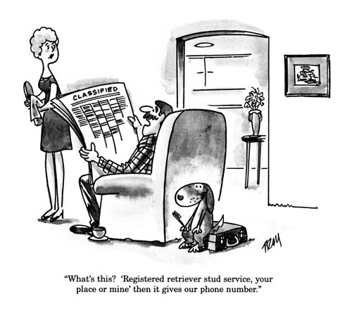 'What's this? 'Registered retriever stud service, your place or mine' then it gives our phone number.'