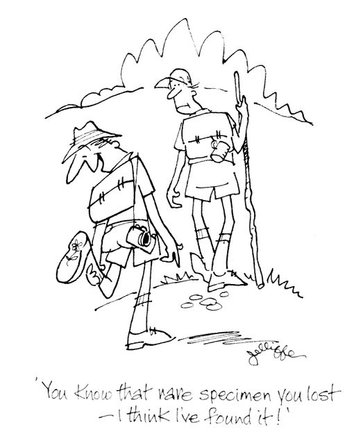 'You know that rare specimen you lost - I think I've found it!'
