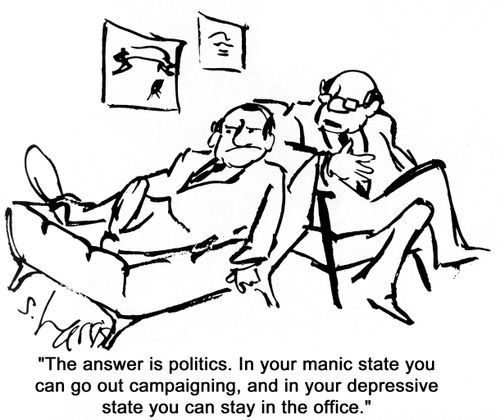 'The answer is politics.  In your manic state you can go out campaigning and in your depressive state you can stay in the office.'