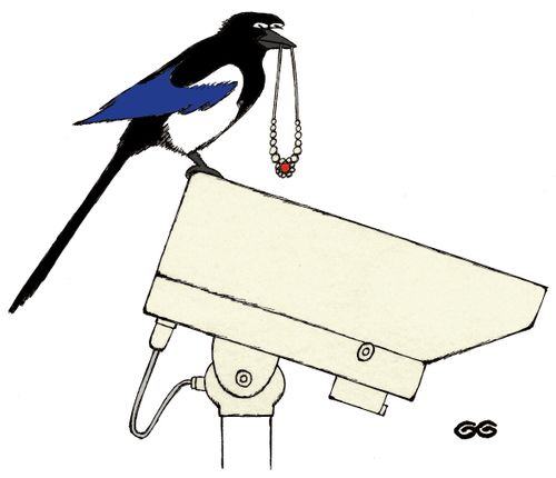 Thieving magpie perched on top of CCTV camera.  