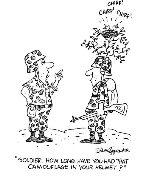 'Soldier, how long have you had that camouflage in your helmet?'