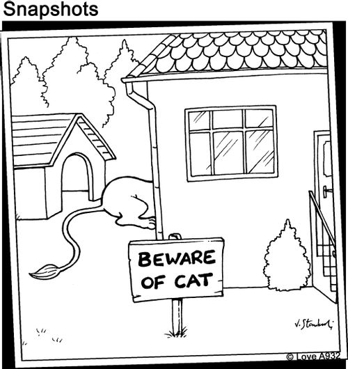 Beware of cat.