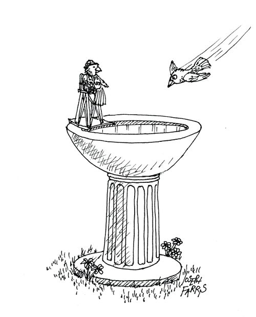 Bird Flying Into Bird Bath.