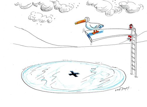 Bird Diving Board.