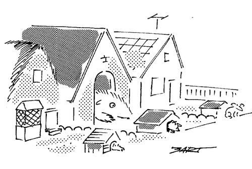 Dog House.