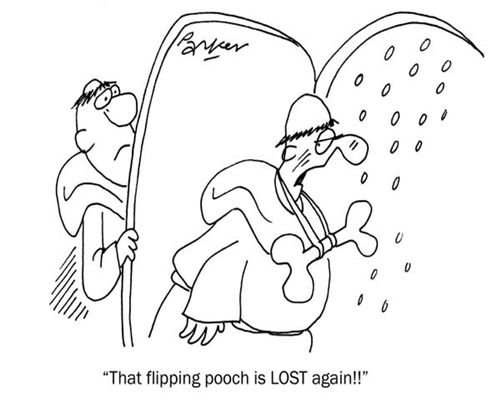 'That flipping pooch is lost again!'
