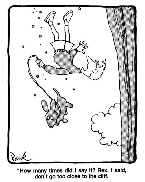 'How many times did I say it? Rex, I said, don't go too close to the cliff.'